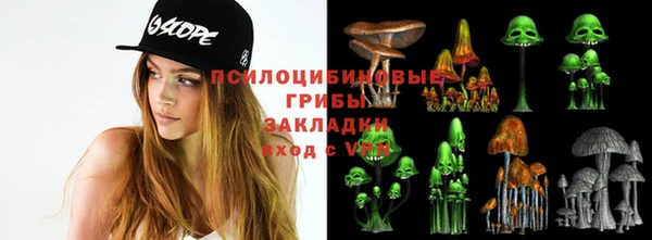 прущая мука Весьегонск