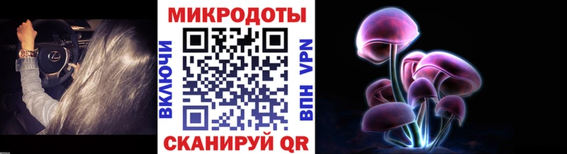 Купить закладки  Качканар  Псилоцибиновые грибы ЛСД 
